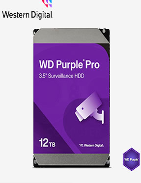 DISCO DURO PURPLE PRO WD 12 TERAS
